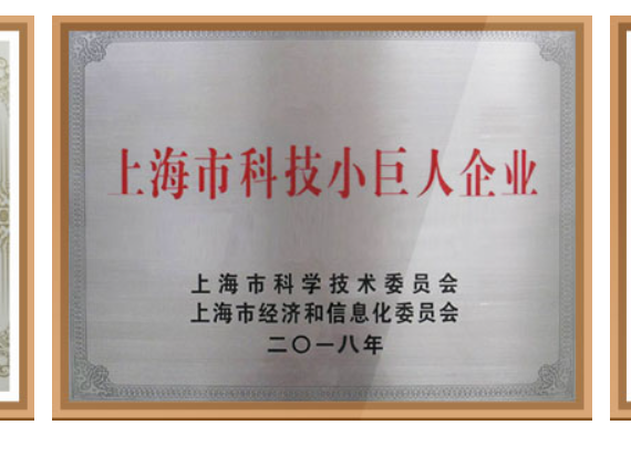 Science & Technology Little Giant