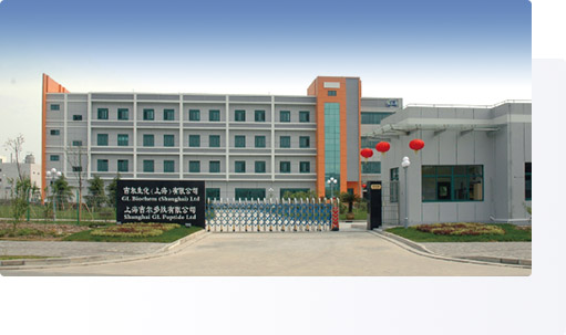 GL Biochem Zizhu Phase I in 2006